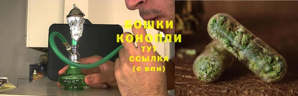 стафф Вязьма